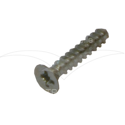 7/4009 - Screw