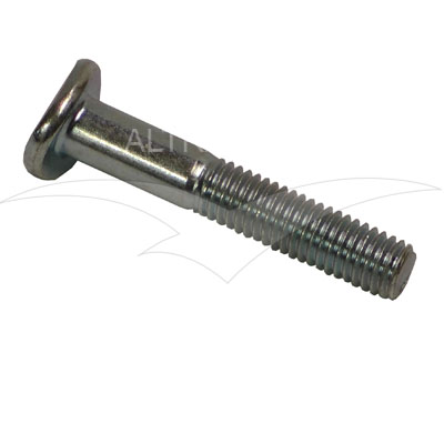 9/8021 - Bolt