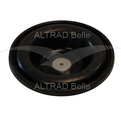 971/00205 - Diaphragm