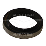 01517 - Wiper Seal