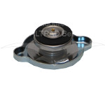 11131-7203-0 - Radiator Cap