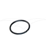 44.02.126 - O Ring (bgp57)