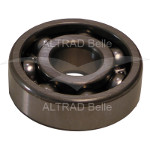 53/0032 - Bearing Roller 6302