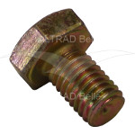 7/10013 - Screw Set M10x16 Hex Bzp 8.8
