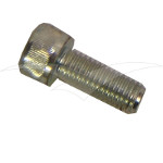 7/10023 - Screw M10 X 25 Cap Bzp