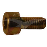 7/5020 - Screw M5 X 10 Cap Head Bzp