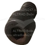 971/00203 - Charging Screw