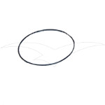 971/99025 - O-ring 69 Dia X 1.5