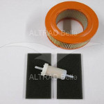 980/02900 - Kit RTX Service GX100 (50 Hour