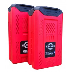 E+ 82v Batteries
